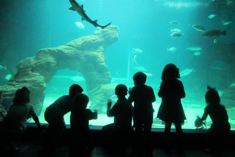 Hotel Chiqui | Santander | 4